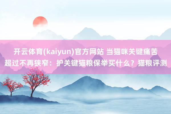 开云体育(kaiyun)官方网站 当猫咪关键痛苦超过不再狭窄：护关键猫粮保举买什么？猫粮评测