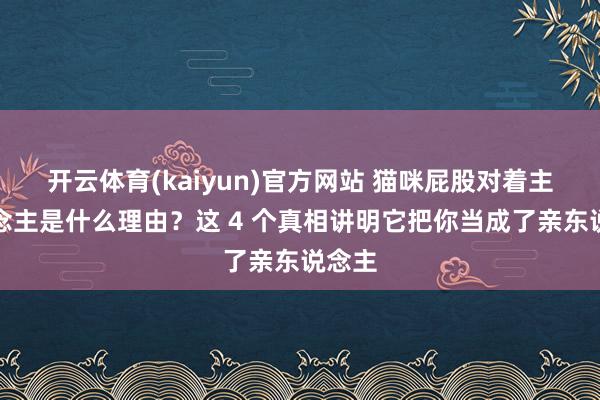开云体育(kaiyun)官方网站 猫咪屁股对着主东说念主是什么理由？这 4 个真相讲明它把你当成了亲东说念主