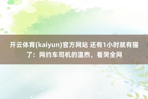 开云体育(kaiyun)官方网站 还有1小时就有猫了：网约车司机的温煦，看哭全网