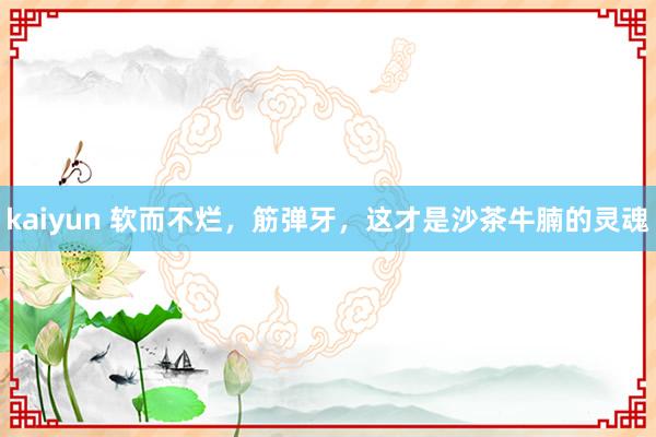 kaiyun 软而不烂，筋弹牙，这才是沙茶牛腩的灵魂