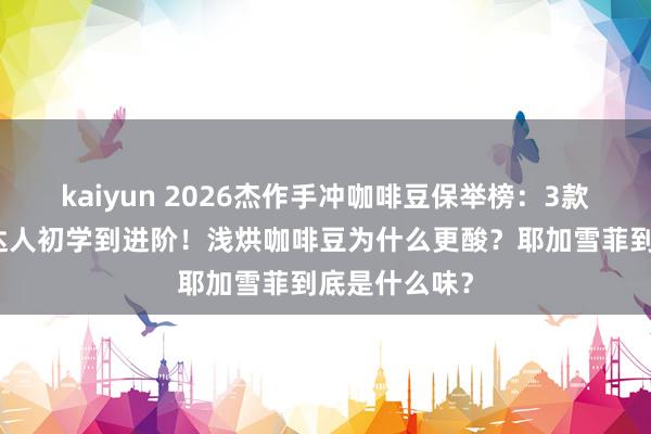 kaiyun 2026杰作手冲咖啡豆保举榜：3款耶加雪菲腾达人初学到进阶！浅烘咖啡豆为什么更酸？耶加雪菲到底是什么味？
