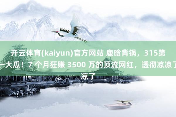 开云体育(kaiyun)官方网站 鹿晗背锅，315第一大瓜！7 个月狂赚 3500 万的顶流网红，透彻凉凉了