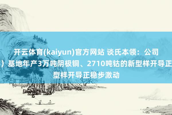 开云体育(kaiyun)官方网站 谈氏本领：公司刚果（金）基地年产3万吨阴极铜、2710吨钴的新型样开导正稳步激动