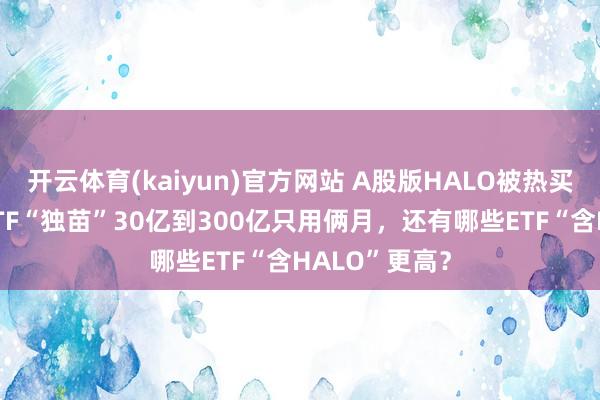 开云体育(kaiyun)官方网站 A股版HALO被热买，电网开发ETF“独苗”30亿到300亿只用俩月，还有哪些ETF“含HALO”更高？