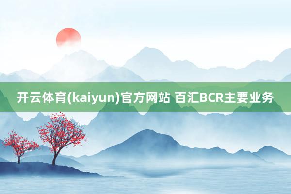开云体育(kaiyun)官方网站 百汇BCR主要业务
