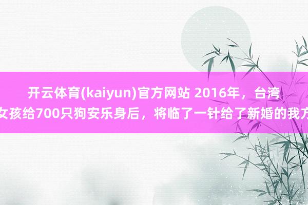 开云体育(kaiyun)官方网站 2016年，台湾女孩给700只狗安乐身后，将临了一针给了新婚的我方