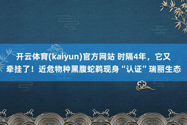 开云体育(kaiyun)官方网站 时隔4年，它又牵挂了！近危物种黑腹蛇鹈现身“认证”瑞丽生态
