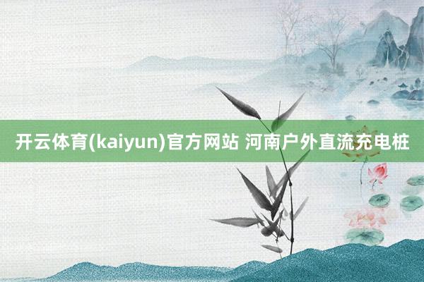开云体育(kaiyun)官方网站 河南户外直流充电桩