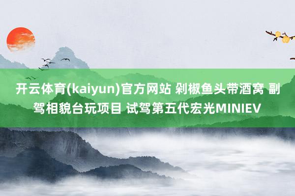开云体育(kaiyun)官方网站 剁椒鱼头带酒窝 副驾相貌台玩项目 试驾第五代宏光MINIEV