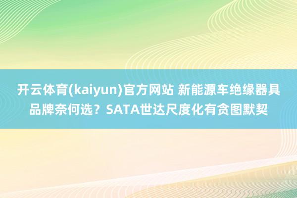 开云体育(kaiyun)官方网站 新能源车绝缘器具品牌奈何选？SATA世达尺度化有贪图默契