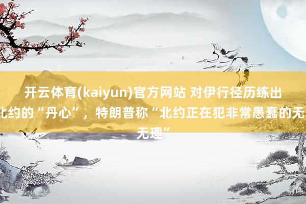 开云体育(kaiyun)官方网站 对伊行径历练出了北约的“丹心”，特朗普称“北约正在犯非常愚蠢的无理”