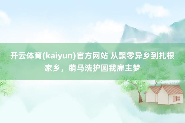 开云体育(kaiyun)官方网站 从飘零异乡到扎根家乡，萌马洗护圆我雇主梦