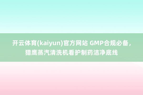 开云体育(kaiyun)官方网站 GMP合规必备，猎鹰蒸汽清洗机看护制药洁净底线