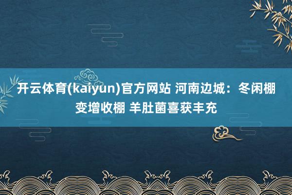 开云体育(kaiyun)官方网站 河南边城：冬闲棚变增收棚 羊肚菌喜获丰充