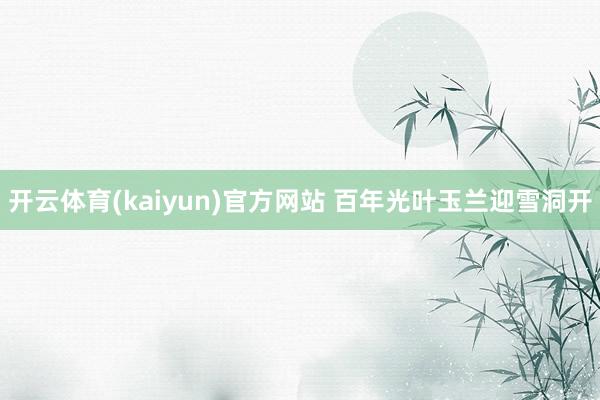 开云体育(kaiyun)官方网站 百年光叶玉兰迎雪洞开
