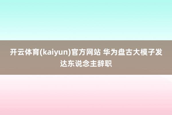 开云体育(kaiyun)官方网站 华为盘古大模子发达东说念主辞职