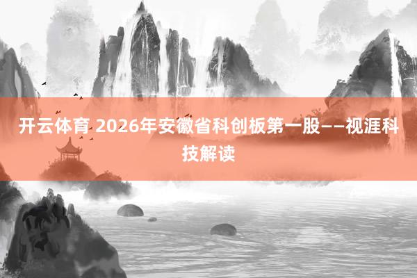 开云体育 2026年安徽省科创板第一股——视涯科技解读