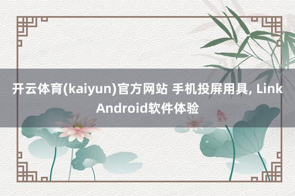 开云体育(kaiyun)官方网站 手机投屏用具, LinkAndroid软件体验