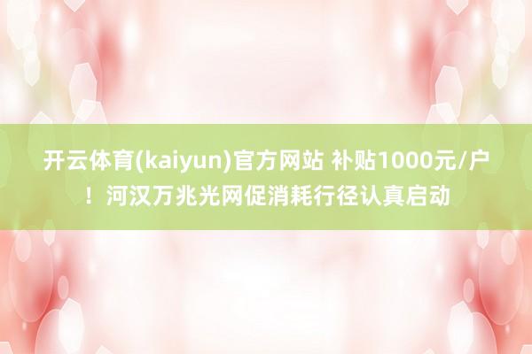 开云体育(kaiyun)官方网站 补贴1000元/户！河汉万兆光网促消耗行径认真启动