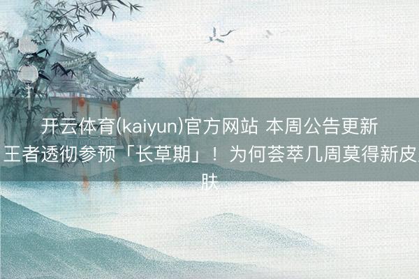 开云体育(kaiyun)官方网站 本周公告更新，王者透彻参预「长草期」！为何荟萃几周莫得新皮肤