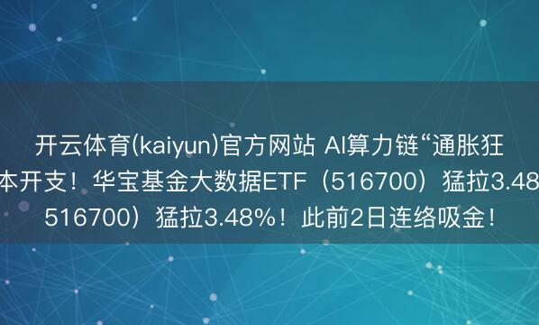 开云体育(kaiyun)官方网站 AI算力链“通胀狂欢”！字节增多25%老本开支！华宝基金大数据ETF（516700）猛拉3.48%！此前2日连络吸金！