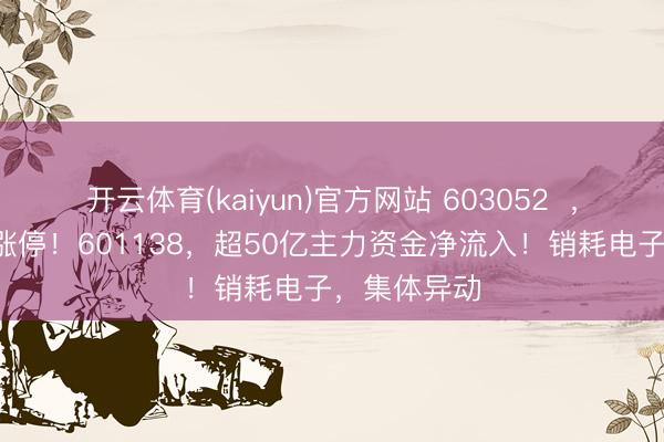 开云体育(kaiyun)官方网站 603052  ，强势连结2涨停！601138，超50亿主力资金净流入！销耗电子，集体异动