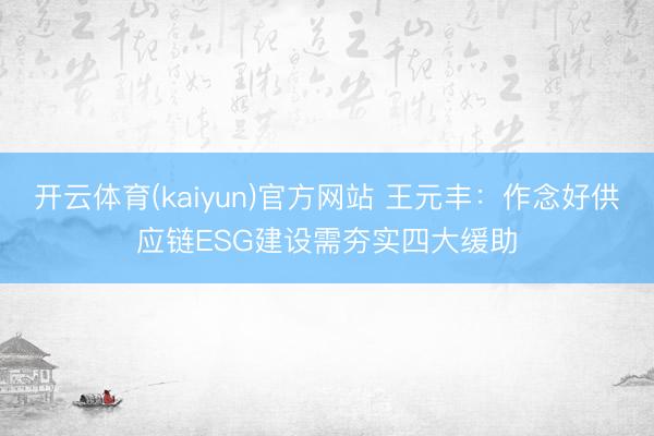 开云体育(kaiyun)官方网站 王元丰：作念好供应链ESG建设需夯实四大缓助