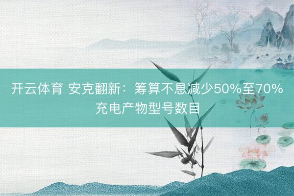 开云体育 安克翻新：筹算不息减少50%至70%充电产物型号数目