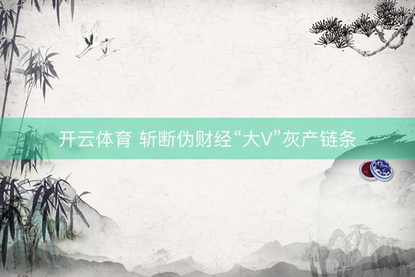 开云体育 斩断伪财经“大V”灰产链条
