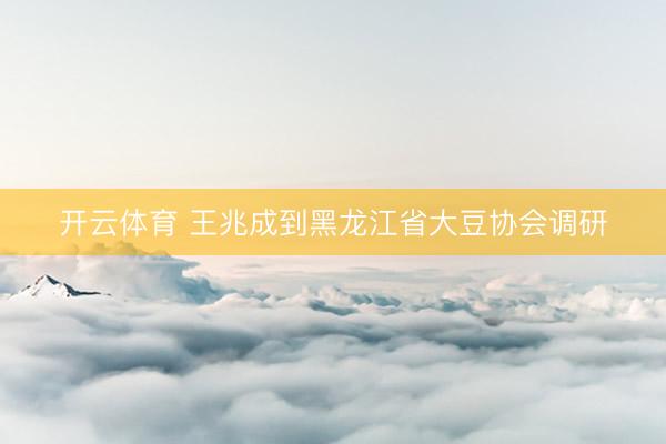 开云体育 王兆成到黑龙江省大豆协会调研